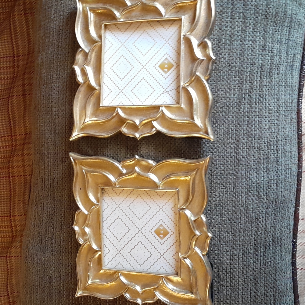 🌺2 GOLDTONE Frames